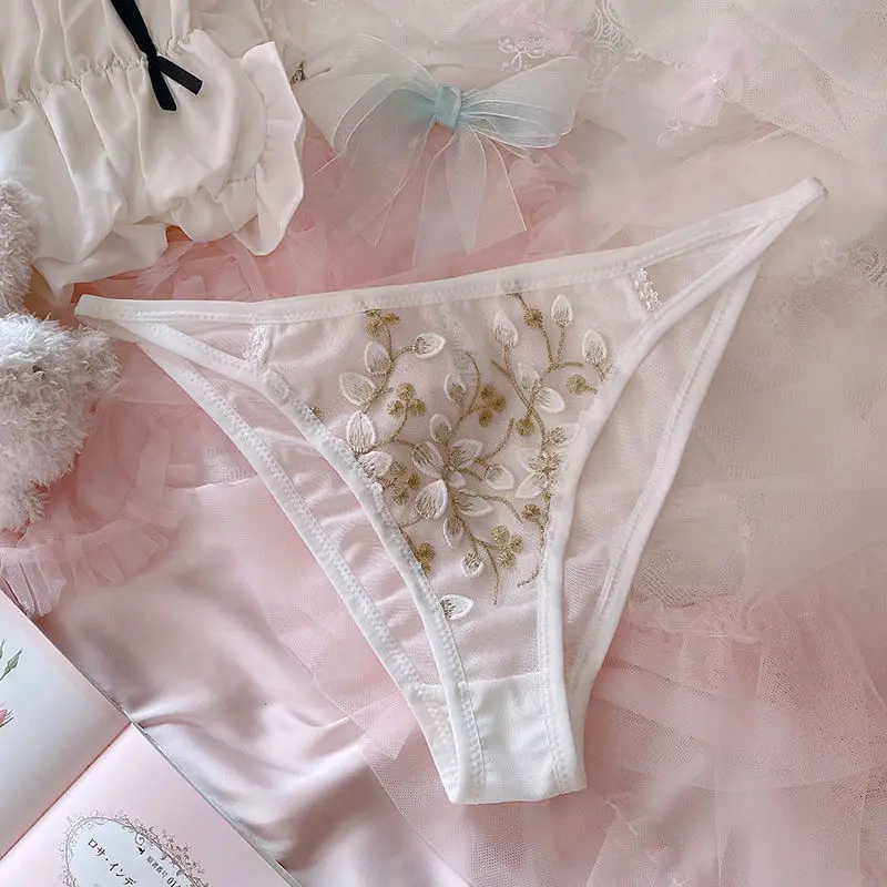 Lace Embroidered Mesh Panties – Low Waist French Luxury Underwear - Image 6